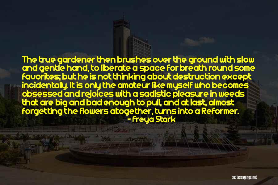 Venus And Crepuscule Quotes By Freya Stark Venus And Crepuscule Quotes By Freya Stark