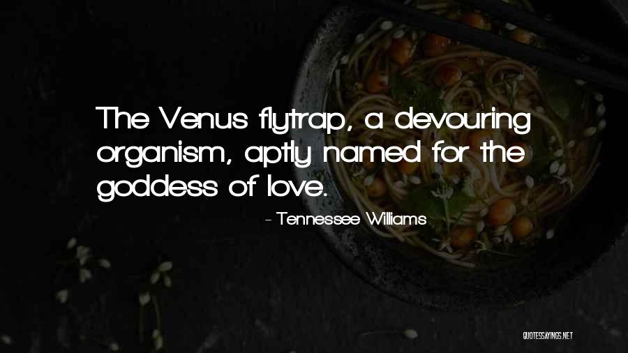 Venus Flytrap Quotes By Tennessee Williams Venus Flytrap Quotes By Tennessee Williams