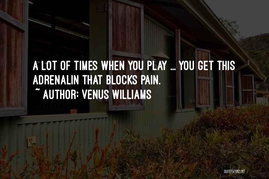 Venus Williams Quotes 436814