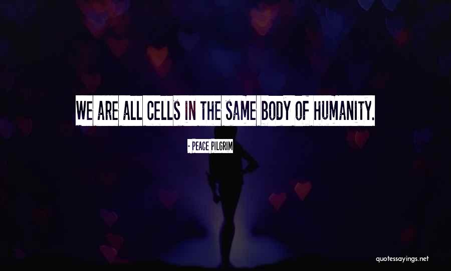 Veprimtarit Quotes By Peace Pilgrim Veprimtarit Quotes By Peace Pilgrim