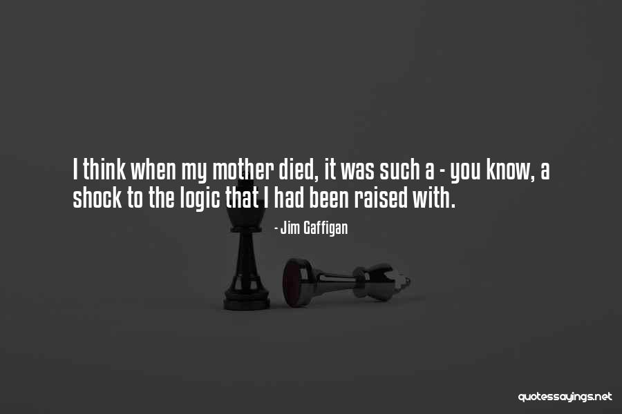 Veracka Teacher Quotes By Jim Gaffigan