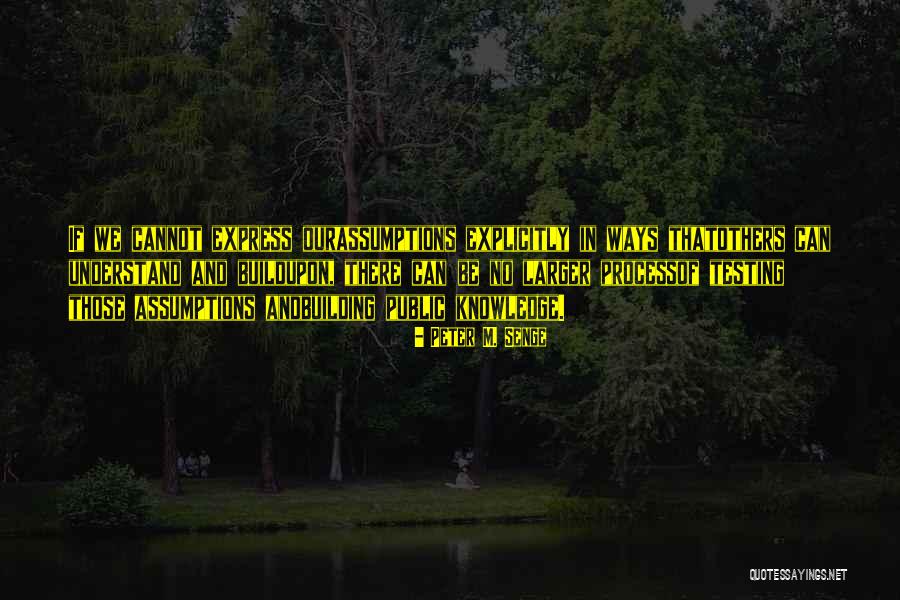 Veranika Razhkova Quotes By Peter M. Senge Veranika Razhkova Quotes By Peter M. Senge