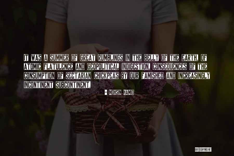 Veranneman Lier Quotes By Mohsin Hamid Veranneman Lier Quotes By Mohsin Hamid