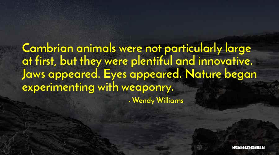 Verardo Closet Quotes By Wendy Williams Verardo Closet Quotes By Wendy Williams