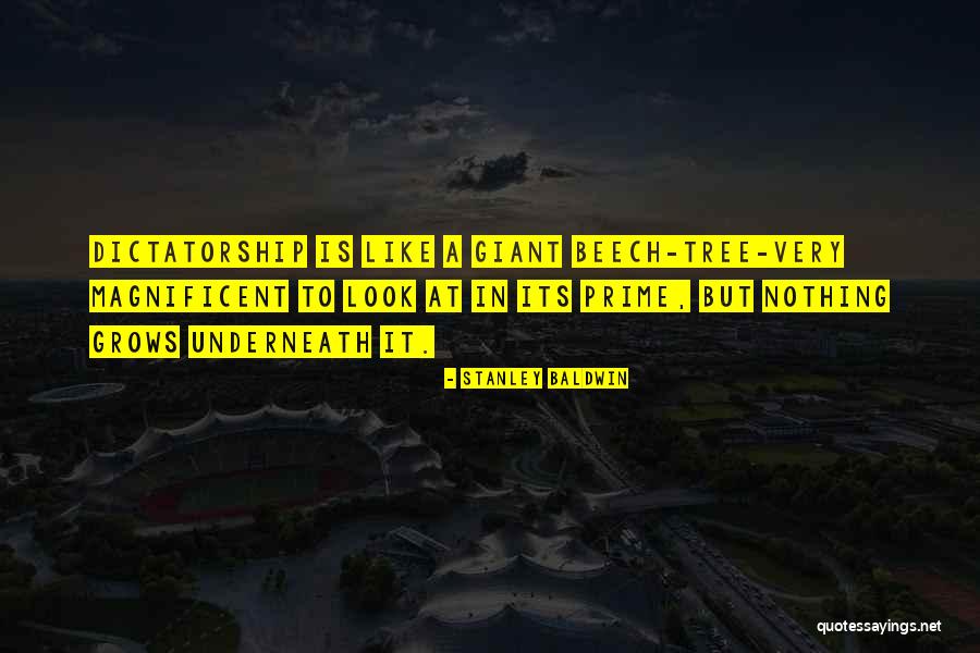 Verayam Quotes By Stanley Baldwin