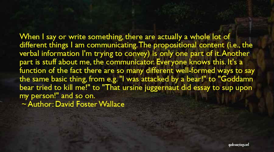 Verbal Communication Quotes By David Foster Wallace