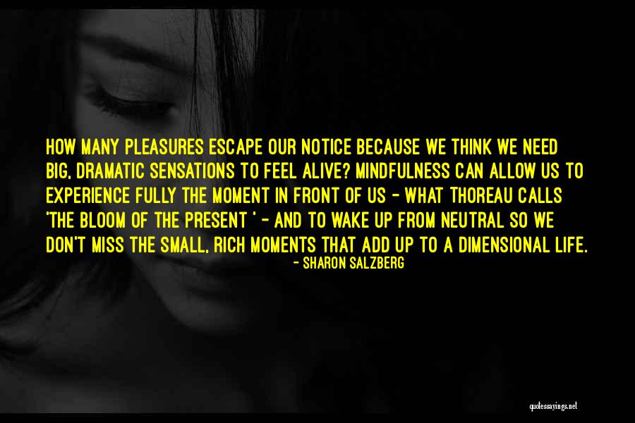 Verbist Quotes By Sharon Salzberg