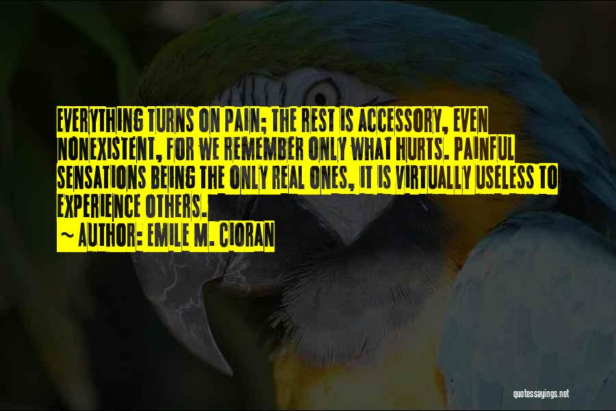 Verbling Dashboard Quotes By Emile M. Cioran