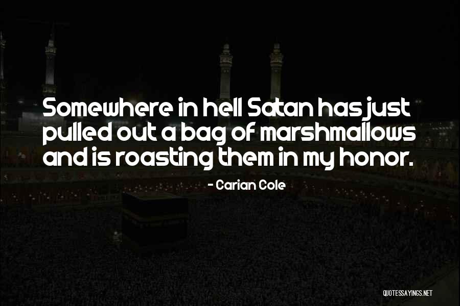 Verboom Sander Quotes By Carian Cole Verboom Sander Quotes By Carian Cole