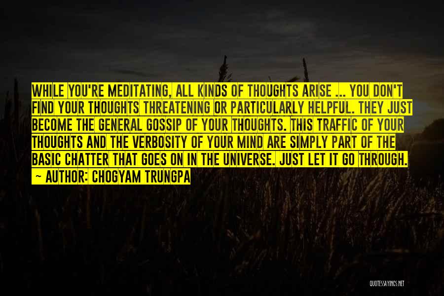 Verbosity Quotes By Chogyam Trungpa