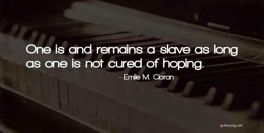 Verbruggen Palletizing Quotes By Emile M. Cioran Verbruggen Palletizing Quotes By Emile M. Cioran