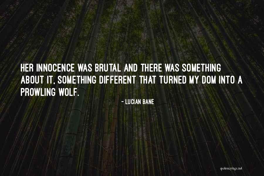 Verbrugghe Interieur Quotes By Lucian Bane Verbrugghe Interieur Quotes By Lucian Bane