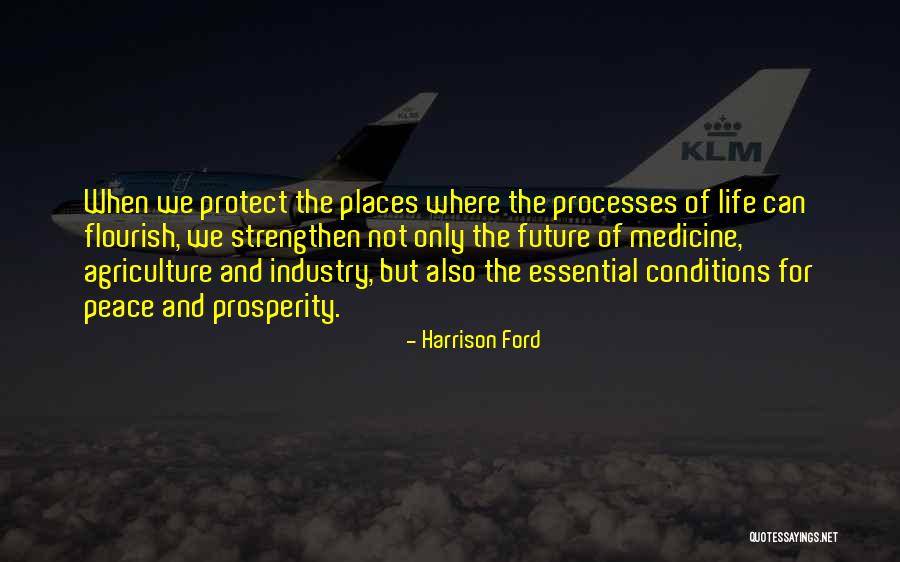 Verbum Spei Quotes By Harrison Ford Verbum Spei Quotes By Harrison Ford