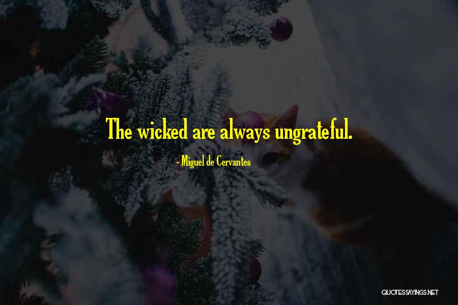 Verburgt Natalie Quotes By Miguel De Cervantes