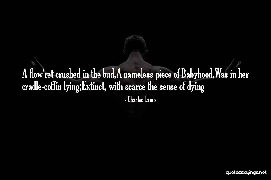 Verdades Horse Quotes By Charles Lamb Verdades Horse Quotes By Charles Lamb