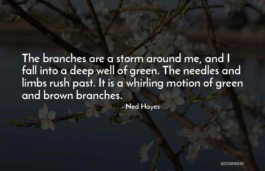 Verdict Search Quotes By Ned Hayes Verdict Search Quotes By Ned Hayes