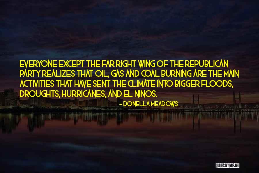 Verdy Leung Quotes By Donella Meadows Verdy Leung Quotes By Donella Meadows