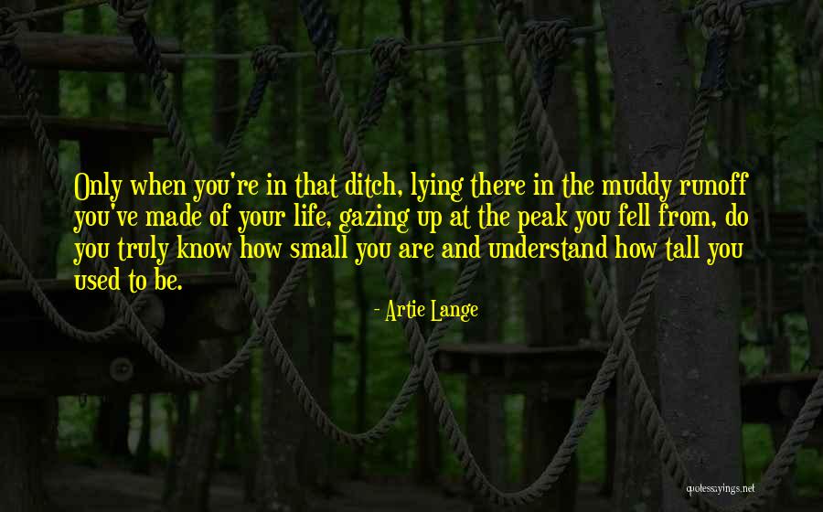 Verelan Quotes By Artie Lange Verelan Quotes By Artie Lange