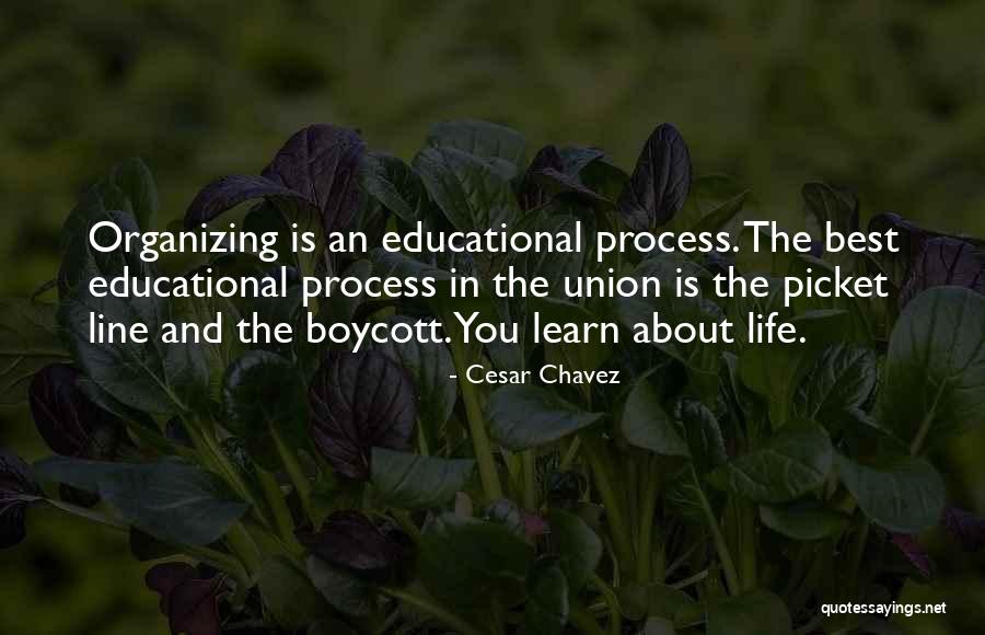 Verex Quotes By Cesar Chavez Verex Quotes By Cesar Chavez