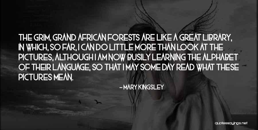 Vergangenheitsaufarbeitung Quotes By Mary Kingsley Vergangenheitsaufarbeitung Quotes By Mary Kingsley