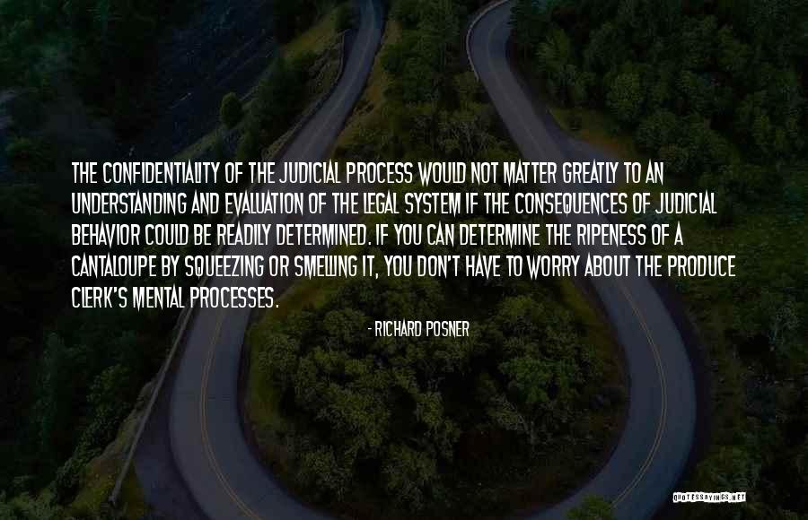 Verger Lafrance Quotes By Richard Posner Verger Lafrance Quotes By Richard Posner