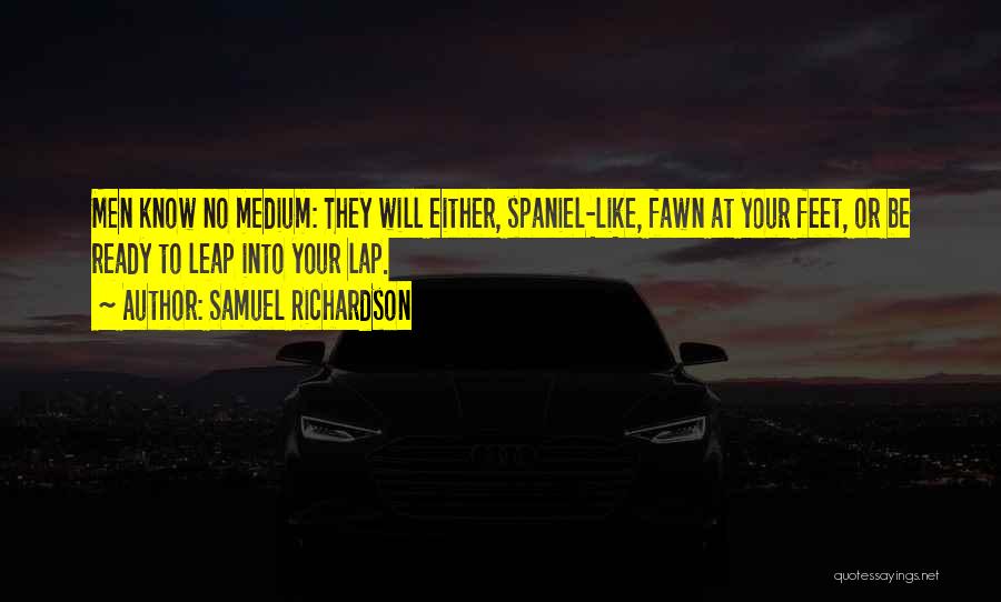 Vergiler Quotes By Samuel Richardson