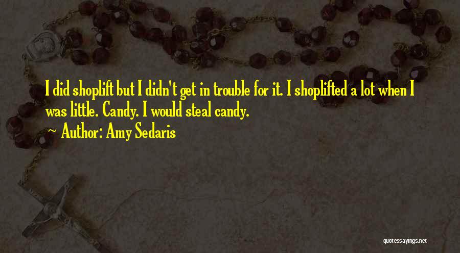 Veria Living Quotes By Amy Sedaris