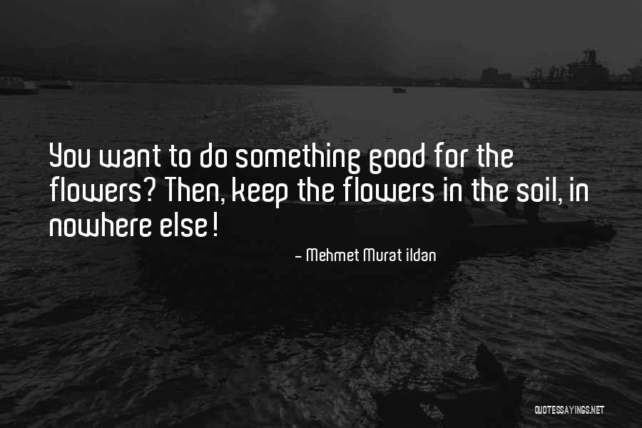 Veridiana De Moraes Quotes By Mehmet Murat Ildan Veridiana De Moraes Quotes By Mehmet Murat Ildan