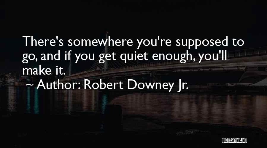 Verificare Rovinieta Quotes By Robert Downey Jr.
