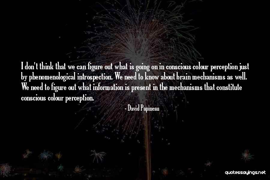 Veritably Synonym Quotes By David Papineau Veritably Synonym Quotes By David Papineau