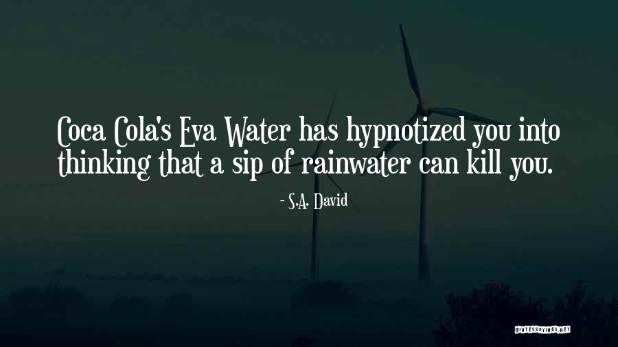 Verkler Inc Indianapolis Quotes By S.A. David
