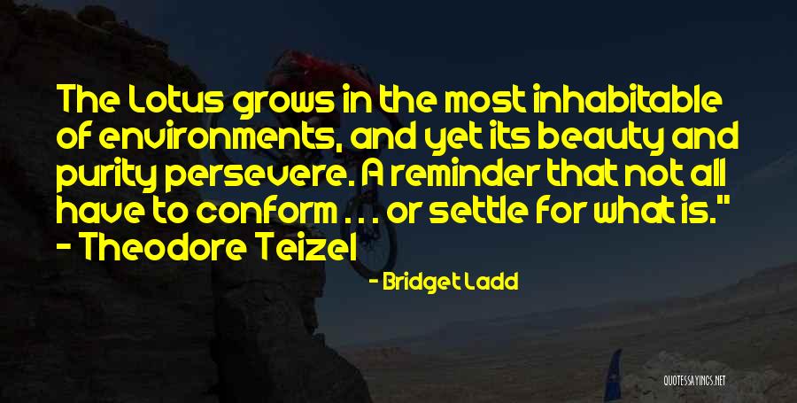 Verl Ngerneri Masin Quotes By Bridget Ladd Verl Ngerneri Masin Quotes By Bridget Ladd
