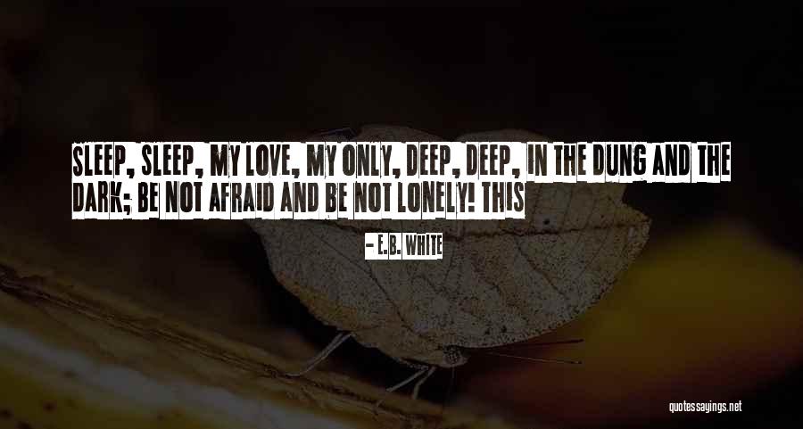 Verland Quotes By E.B. White Verland Quotes By E.B. White