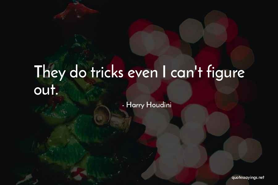 Vermoeidheidsklachten Quotes By Harry Houdini Vermoeidheidsklachten Quotes By Harry Houdini
