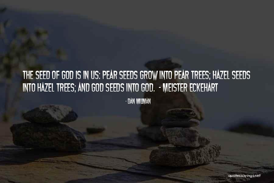 Vernacular Synonyms Quotes By Dan Millman Vernacular Synonyms Quotes By Dan Millman