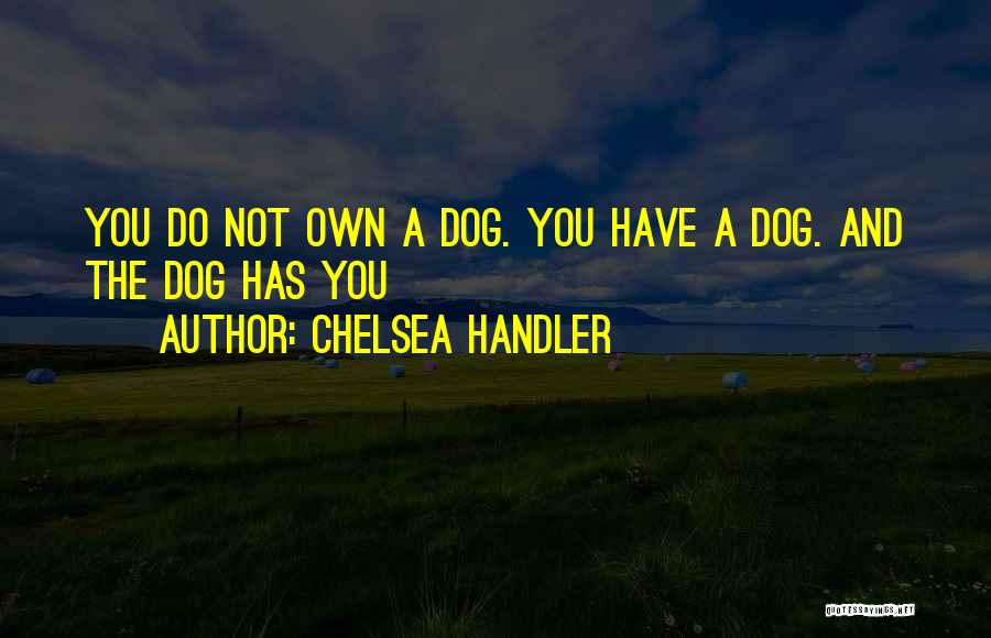 Vernadeth Ilustre Quotes By Chelsea Handler