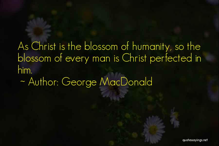 Vernation Quotes By George MacDonald