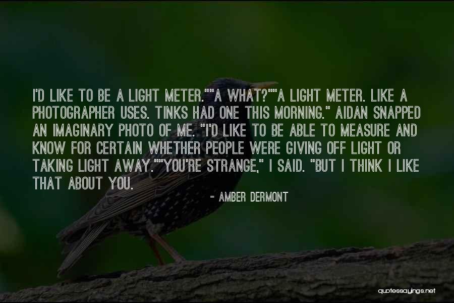 Verneuil Immobilier Quotes By Amber Dermont
