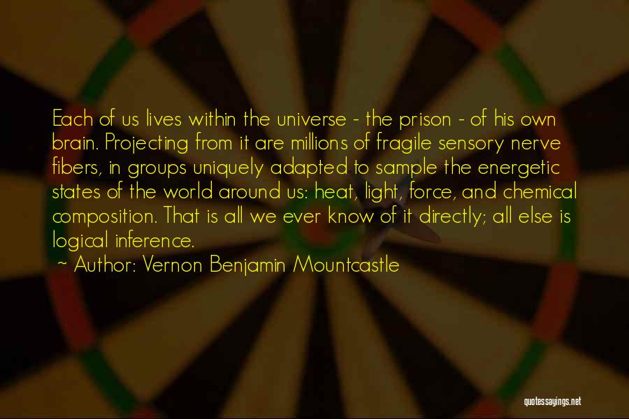 Vernon Benjamin Mountcastle Quotes 1660729