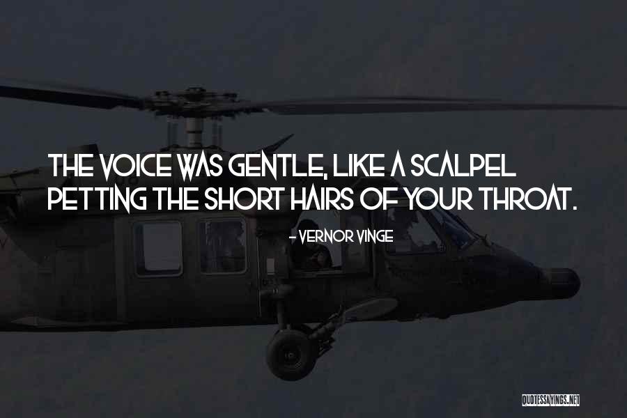 Vernor Vinge Quotes 1517382