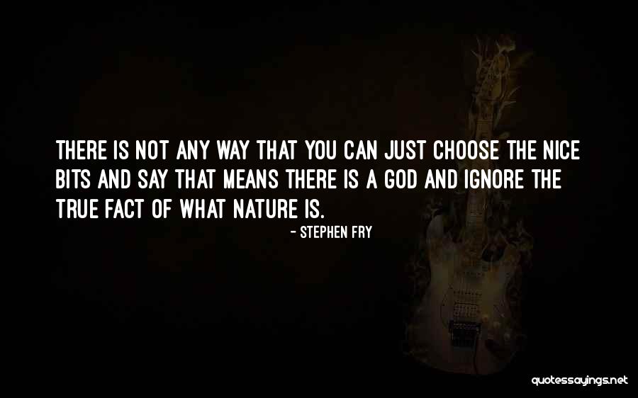 Vernors Pop Quotes By Stephen Fry Vernors Pop Quotes By Stephen Fry
