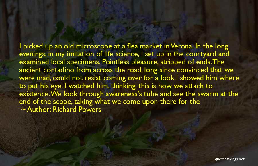 Verona Quotes By Richard Powers