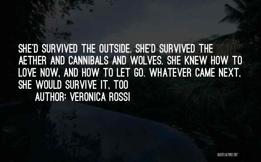 Veronica Rossi Quotes 447436