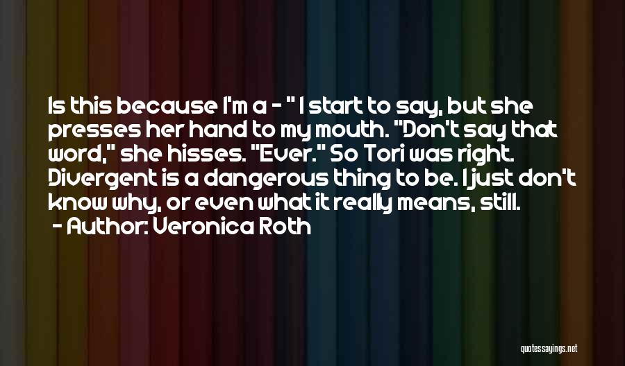 Veronica Roth Quotes 1501429