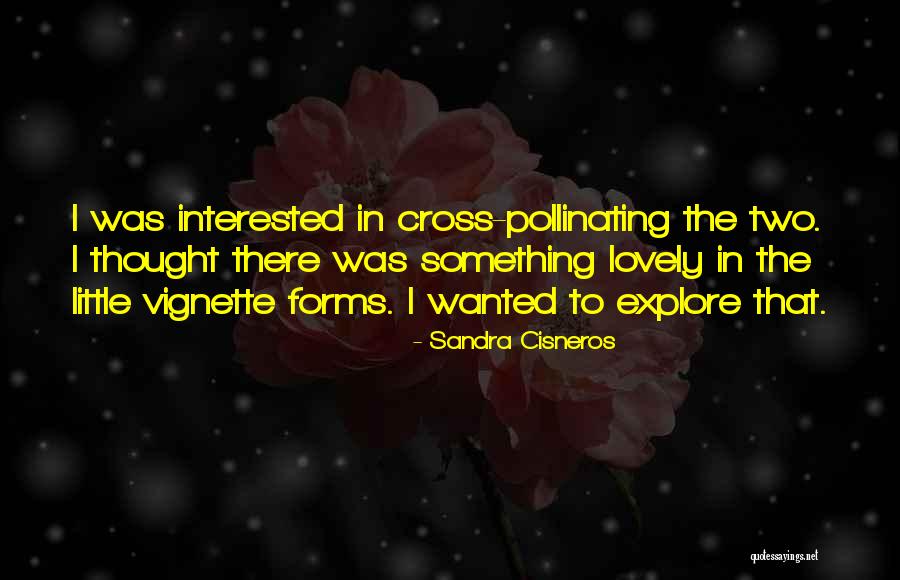 Verotus Espanja Quotes By Sandra Cisneros Verotus Espanja Quotes By Sandra Cisneros