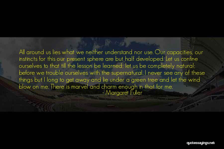 Verplettert Quotes By Margaret Fuller Verplettert Quotes By Margaret Fuller