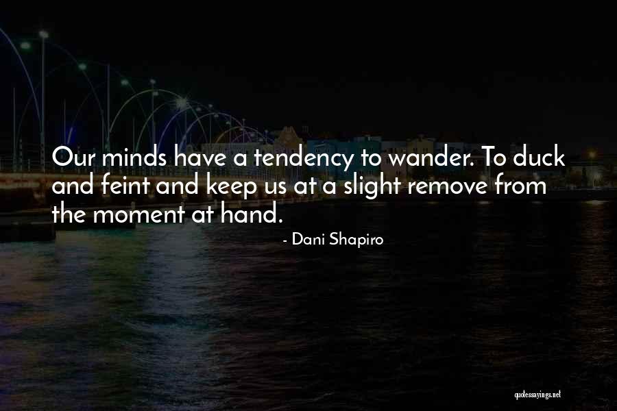 Verplichtingen Gdpr Quotes By Dani Shapiro Verplichtingen Gdpr Quotes By Dani Shapiro