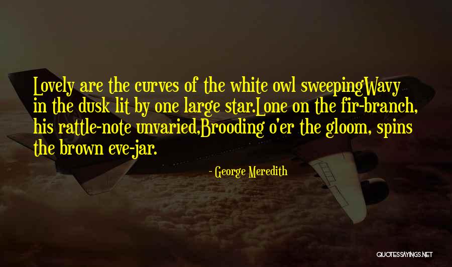 Versa Therm Quotes By George Meredith Versa Therm Quotes By George Meredith