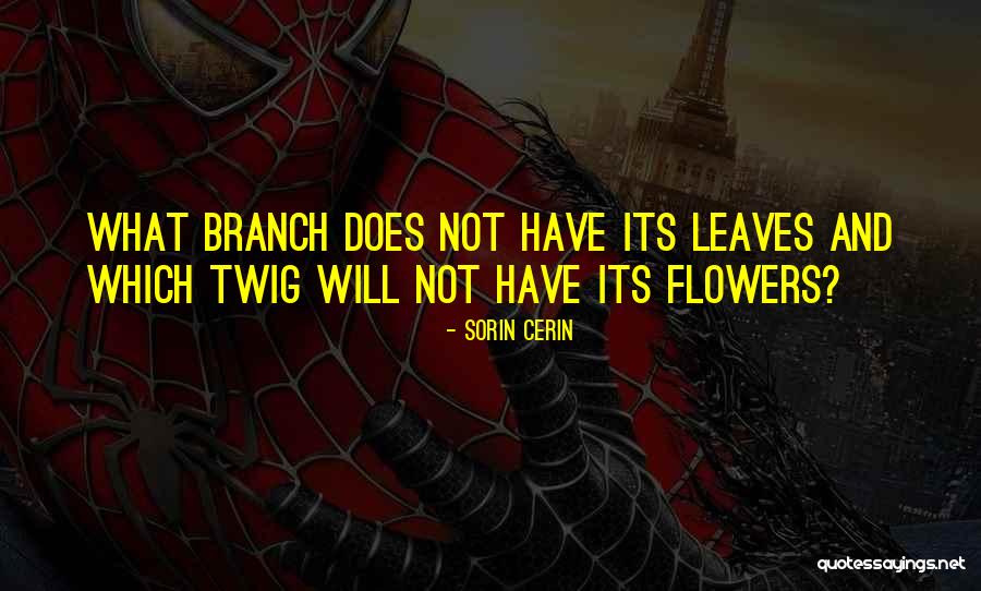 Versaterm Quotes By Sorin Cerin Versaterm Quotes By Sorin Cerin