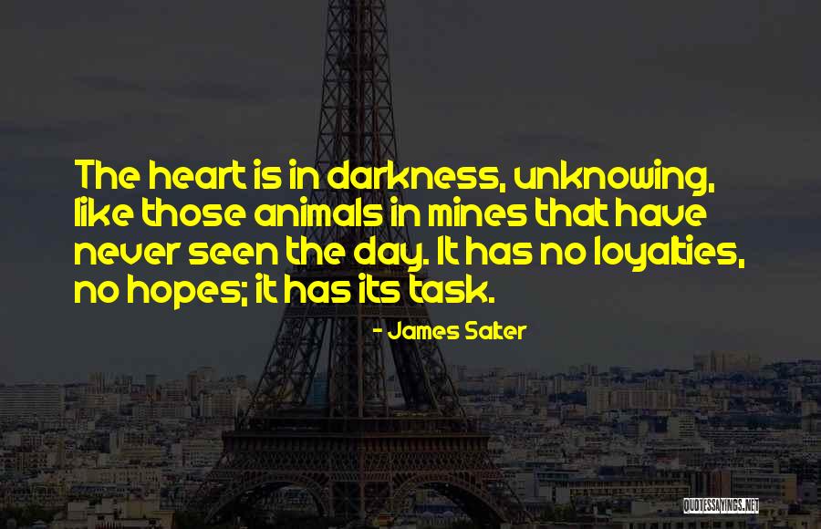 Versatherm Quotes By James Salter Versatherm Quotes By James Salter